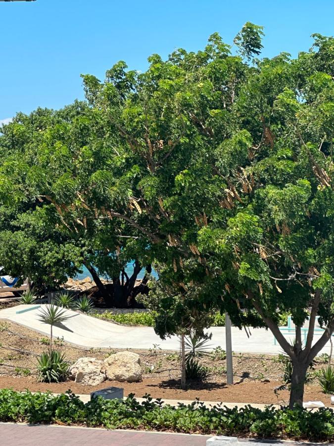 Whitehouse Boulevard, Close To Mambo Beach And City Centre Leilighet Willemstad Eksteriør bilde