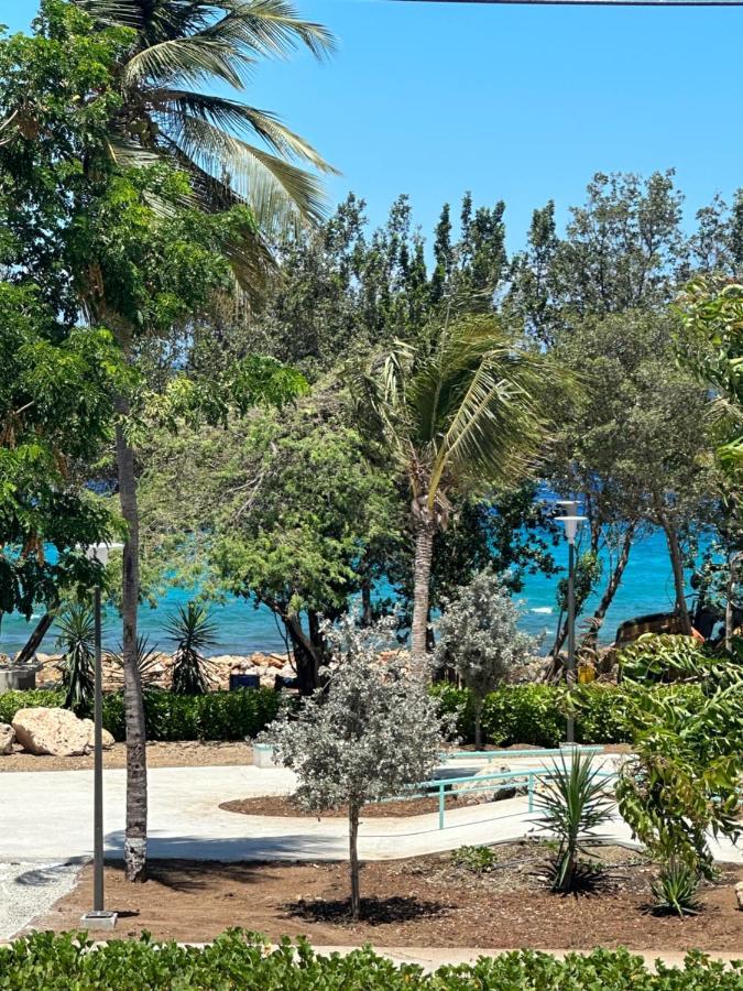 Whitehouse Boulevard, Close To Mambo Beach And City Centre Leilighet Willemstad Eksteriør bilde